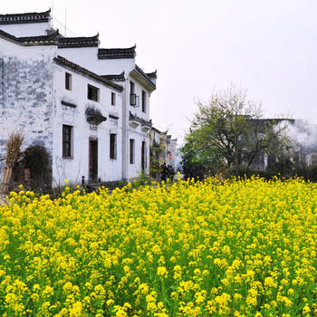 古鎮游