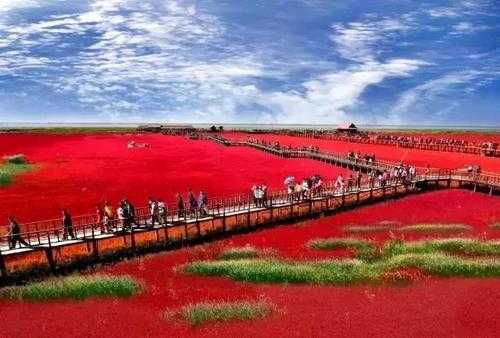 紅海灘+興城海濱+北戴河深度純玩4日游