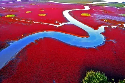 北旅田園·黑風關古鎮+紅海灘汽車兩日游
